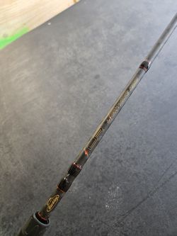 Berkley Lightning Rod