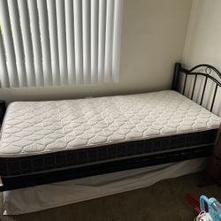 1 Twin Bed 