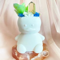 pekkle with citrine crystal and succulent plant garden