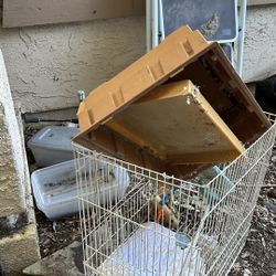 Free Bird Cage