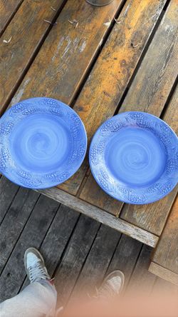 2 floriware and jardinware pottery plates