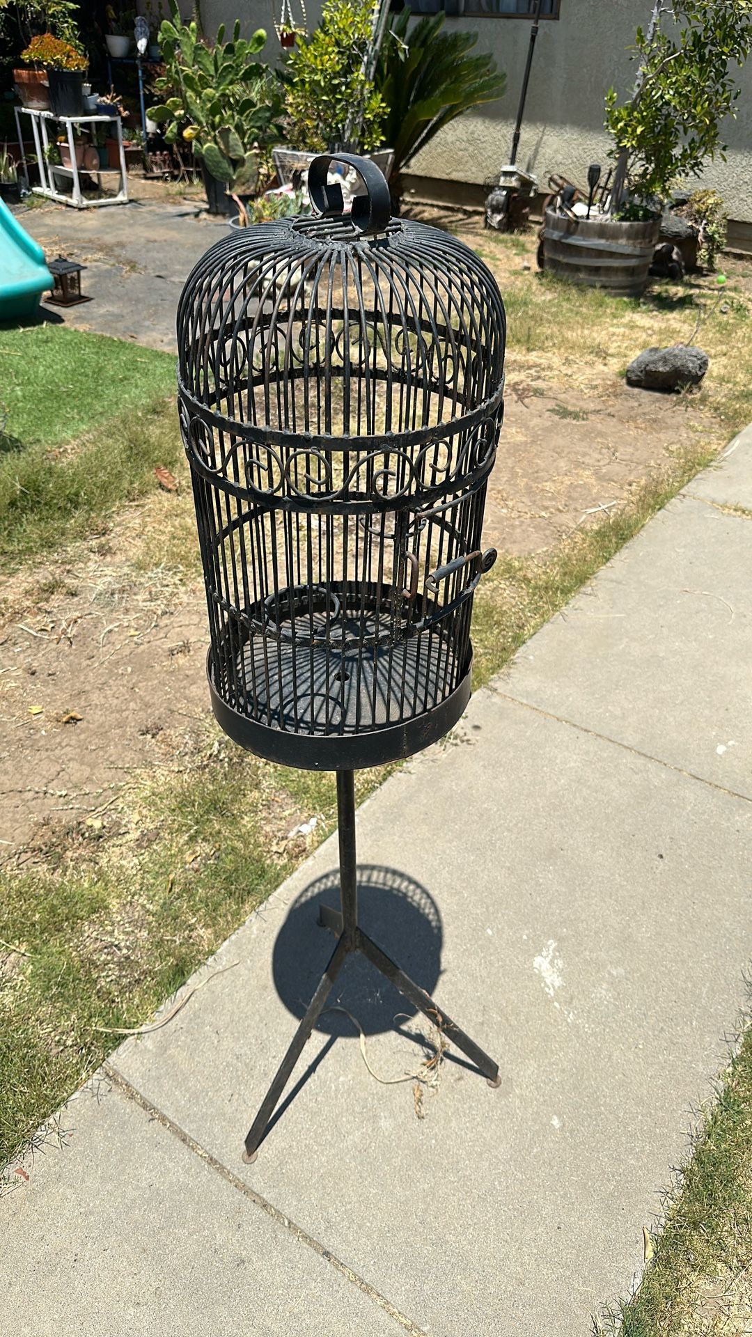 Bird Cage