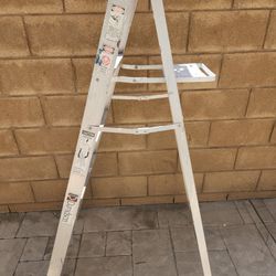 Ladder 5 Foot Ladder
