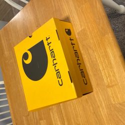 BRAND NEW Carhartt Work Boots (MSRP $200)