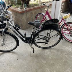 Trek Bike 
