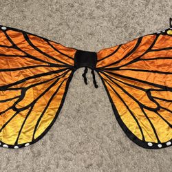 Beautiful monarch butterfly wings