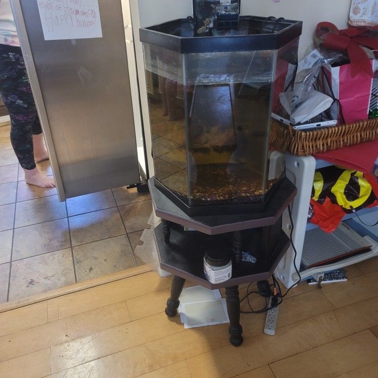 25 Gallon Fish Tank And Stand With Water Heater