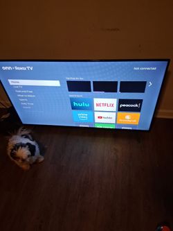 Rulu 55 Inch 
