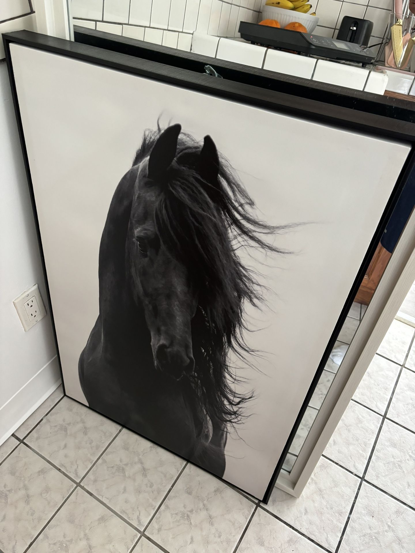 Horse Frame 