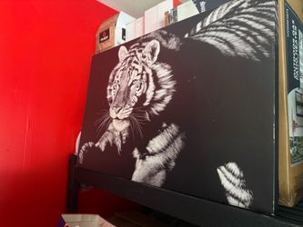 Black and White Tiger Canvas Wall Art