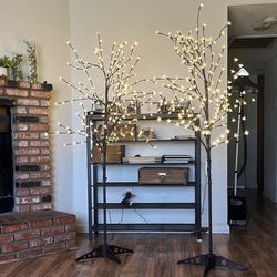 Outdoor/indoor Decorations