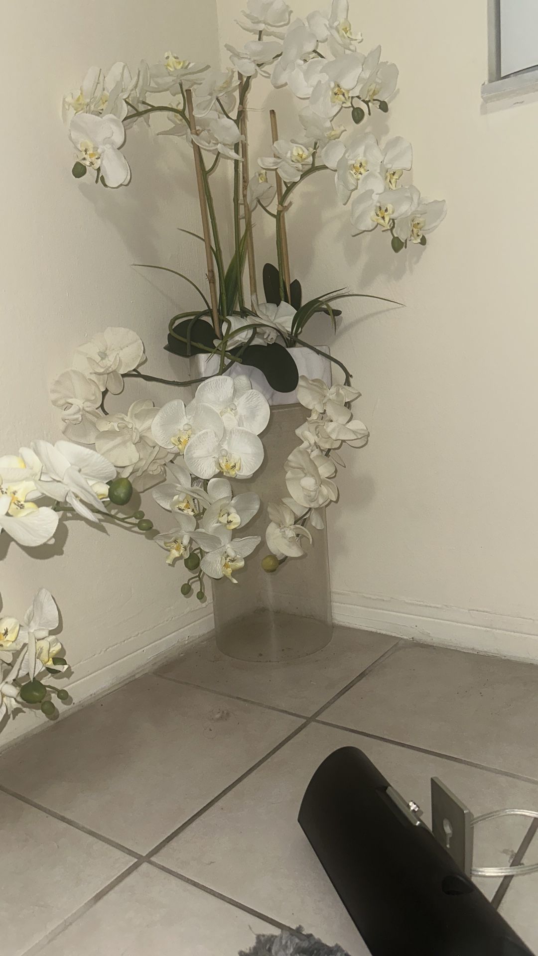 Orquídeas Hermosas