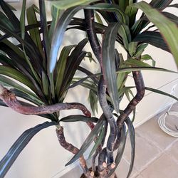 Fake Tropical Palm Tree