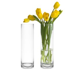 🌸 CYS Excel Clear Glass Cylinder Vase – D-4” x H-14”