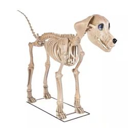 7ft Skelly's Dog w/ LCD Eyes Home Accents Halloween Home Depot Skeleton