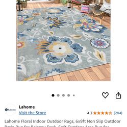 Indoor Or Outdoor Washable  Rug 6x9