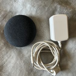 Google Small Smart Speaker 