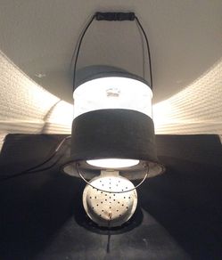 Minnow on sale bucket lamp