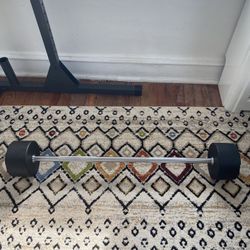 100 lb Fixed Barbell