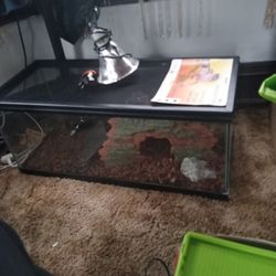 Complete Reptile Setup  