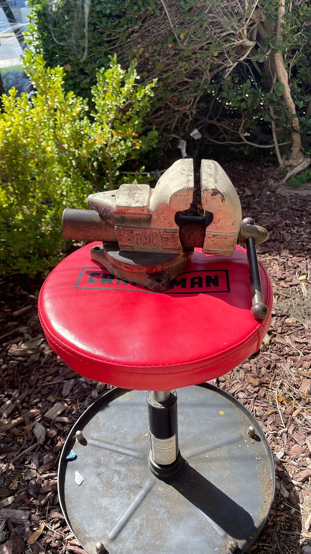 Bench Vice