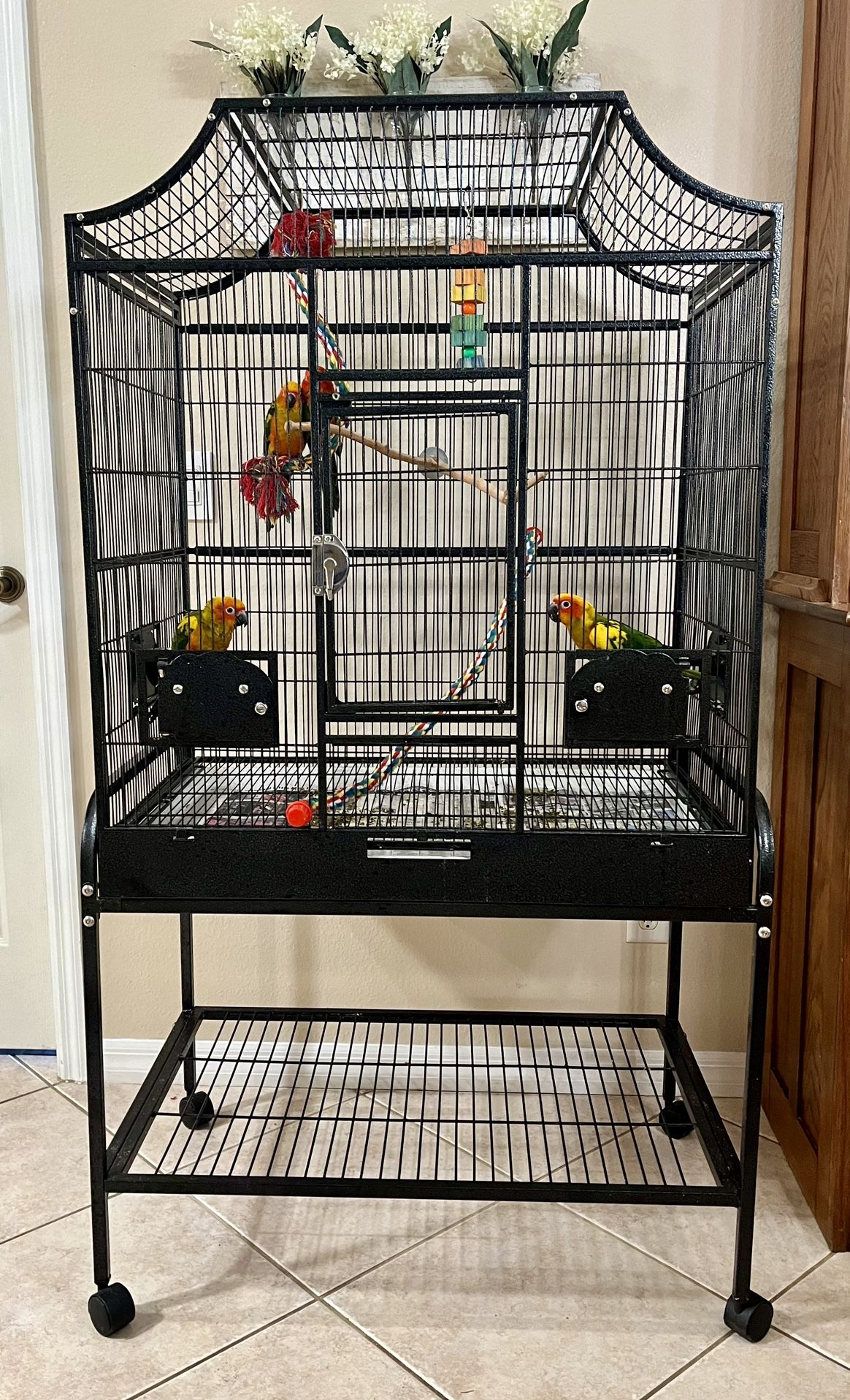 Bird Cage