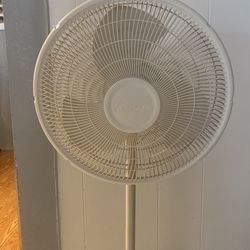 Fan