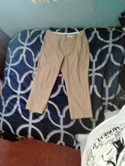 L.L.Bean Classic Fit
