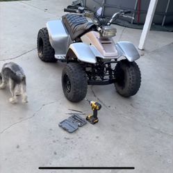 Atv, Yamha Atv, Yamaha Quad, Quad, 100cc Yamaha Champ, Kids Quad