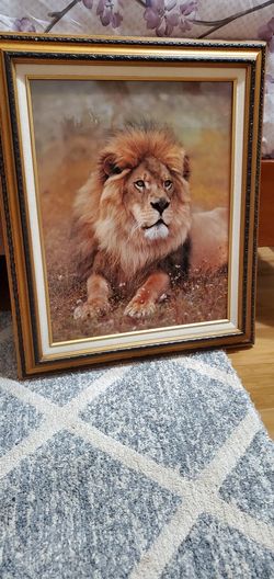 Framed Art