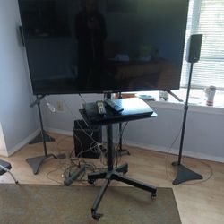 TV and Stand Plus Speaker 