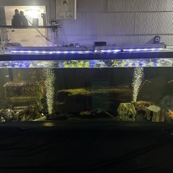 300 Gallon Large Monster Aquarium Fish Turtle Tank Terrarium