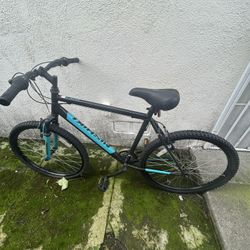 Mountain Bike Nishiki 