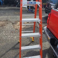 Werner 6 Ft Ladder