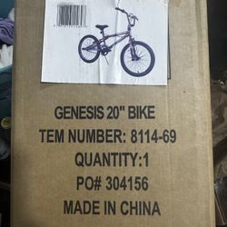 20in Bike