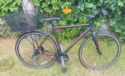ZYCLE FIX CARRERA 350 HYBRID