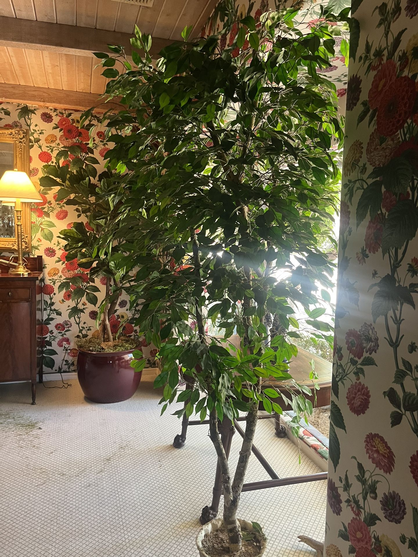 Artificial Ficus Tree