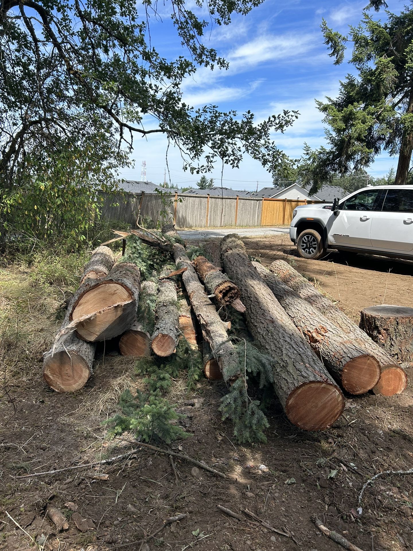 Fresh Cut Fir ….mill or firewood.
