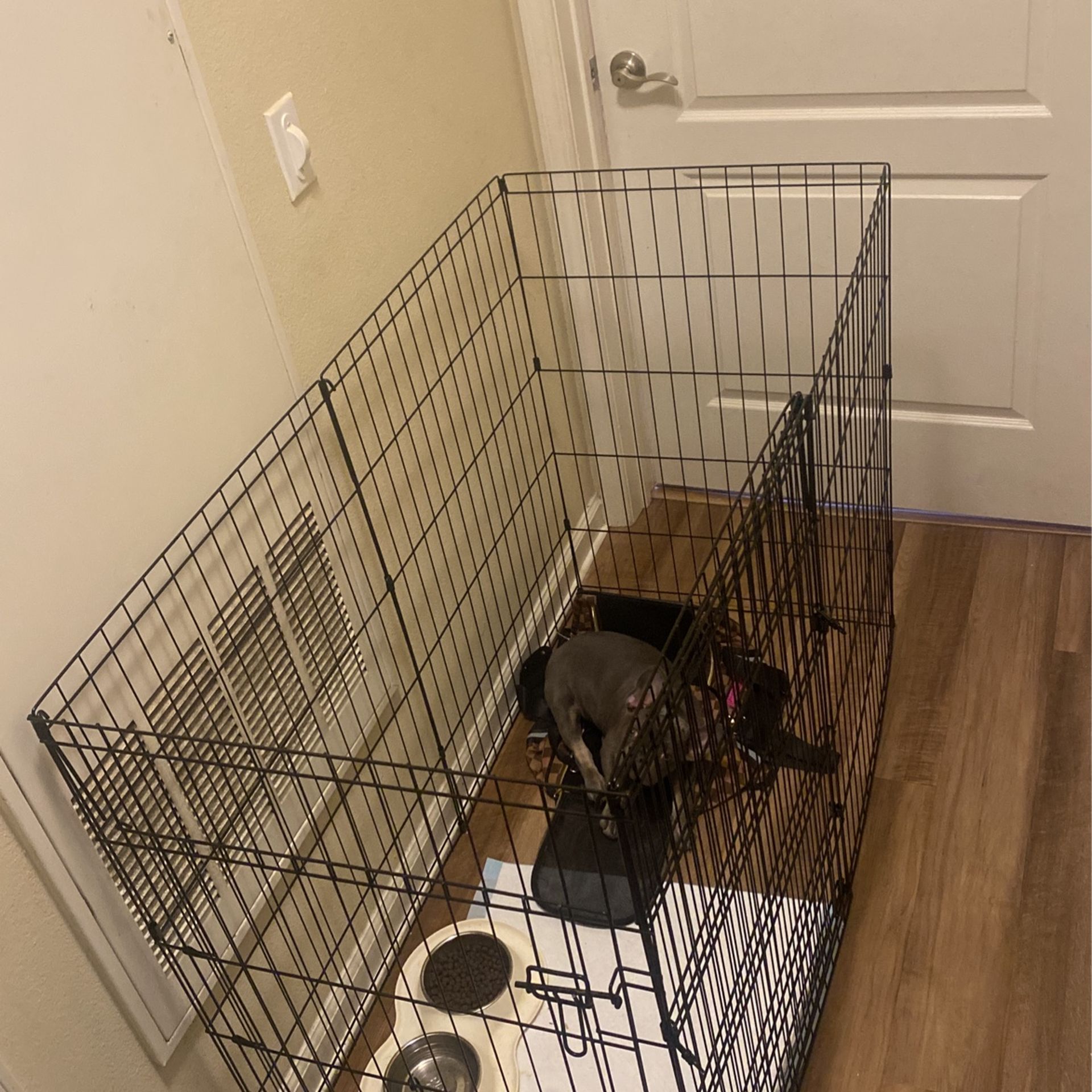 Dog Crate