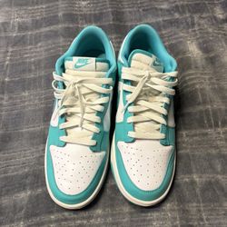 Aqua Nike Dunks Size 