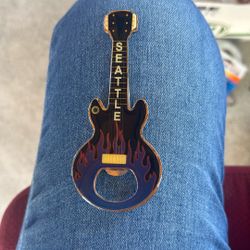 Guitar Magnet