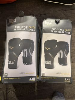 Everlast Boxing Gloves