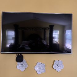 55in TV/wall Mount Roku