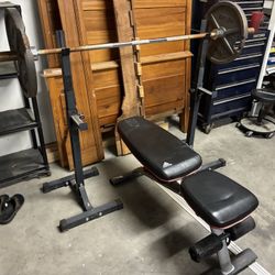 Olympic Weights , Bench Bar Curl