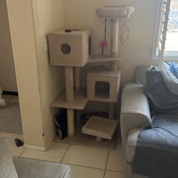 Cat Tower