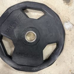 45lb Bumper Weight Plate