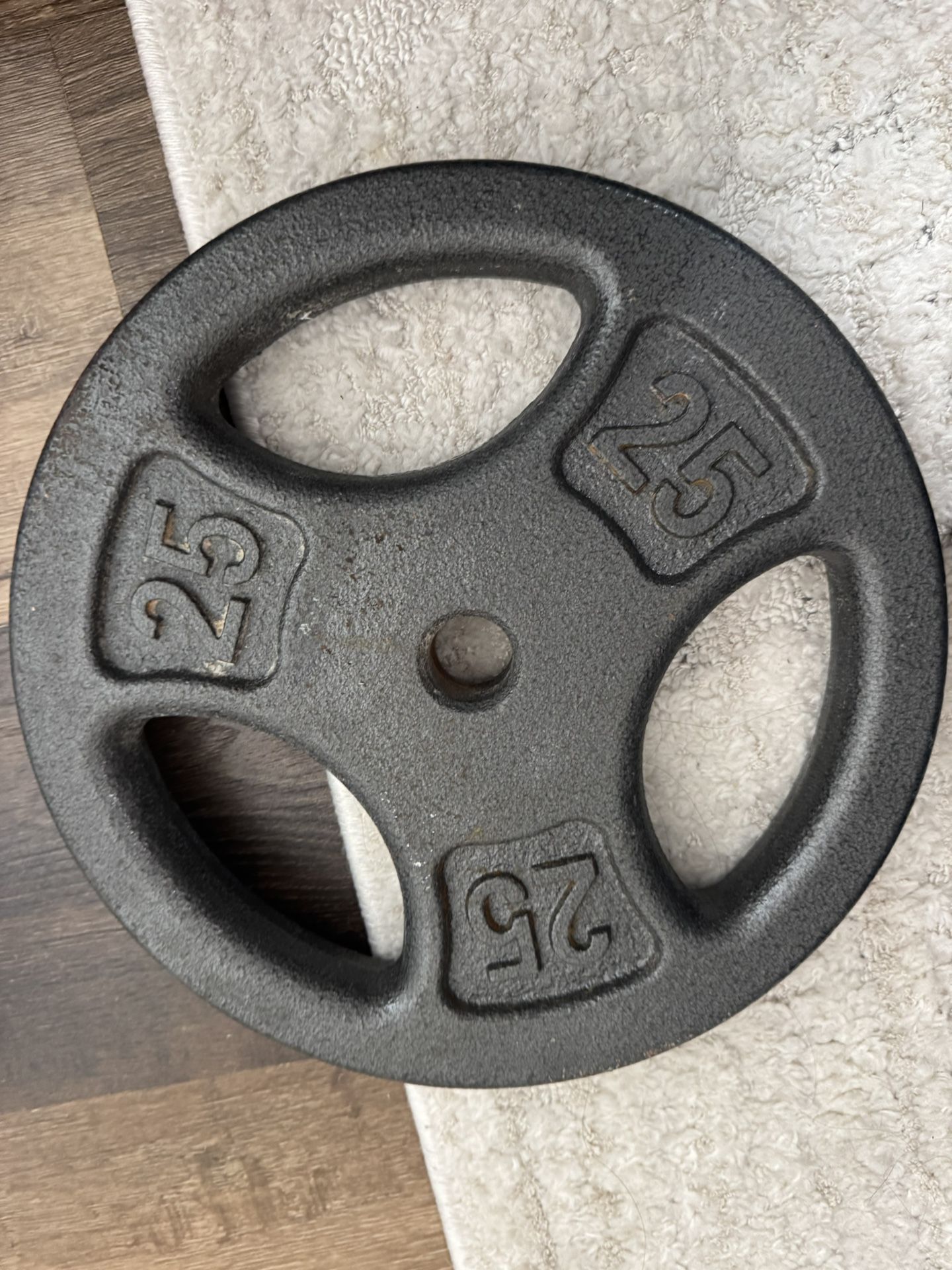 25 Lb Weight Lifting Plate