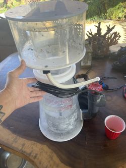 Reef Octopus Protein Skimmer