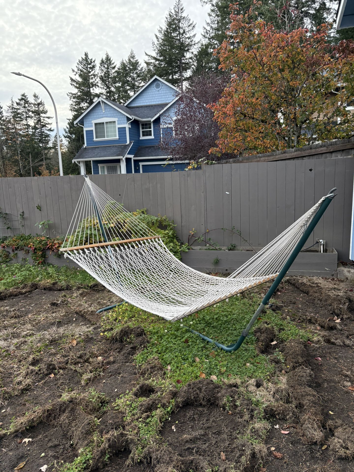 Hammock