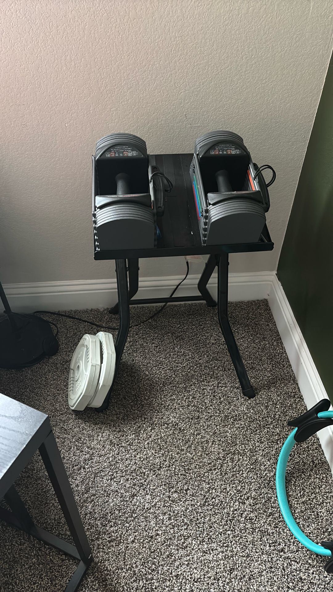 Powerblock Adjustable Dumbbell & Stand